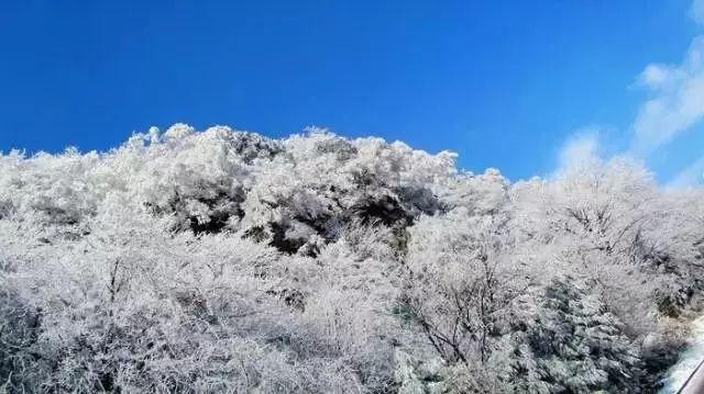 12星座时尚装